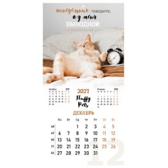 Календарь настенный перекидной 2027 г., BRAUBERG, 12 листов, 28,5х57 см, "Смешные котики", 118430 - фото 16
