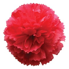 Бумага гофрированная/креповая, 110 г/м2, 50х250 см, красная, ОСТРОВ СОКРОВИЩ, 129148 - фото 5