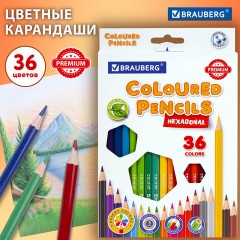 Карандаши цветные BRAUBERG PREMIUM, 36 цветов, шестигранные, грифель 3 мм, 181669 Карандаши цветные BRAUBERG PREMIUM, 36 цветов, шестигранные, грифель 3 мм, 181669 - фото 7
