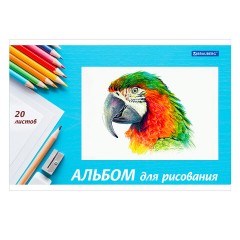 Альбом для рисования, А4, 20 л., скоба, обложка картон, BRAUBERG, 200х283 мм, "Я рисую мир" (2 вида), 104872 - фото 2