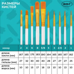 Кисти набор 10 шт., синтетика, белые, № 2/0-8 (Круглые; Овальные; Плоские; Лайнеры), WBZ (ВБЗ), 201087 - фото 24