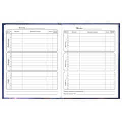 Дневник 1-4 класс 48 л., твердый, ЮНЛАНДИЯ, глянцевая ламинация, с подсказом, "Принцесса", 107582 - фото 9