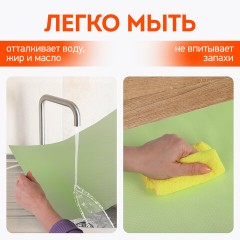 Коврики универсальные 6 шт., 30х45 см, для холодильника, полок, сервировки, салатовый, DASWERK, 609605 Коврики универсальные 6 шт., 30х45 см, для холодильника, полок, сервировки, салатовый, DASWERK, 609605 - фото 13