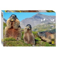 Пазл картонный, 500 элементов, АССОРТИ, поле 50х34,5 см, STEP PUZZLE - фото 8