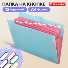 Папка-органайзер на кнопке 12 отделений, BRAUBERG "Extra", А4, голубая с розовым, 271932 Папка-органайзер на кнопке 12 отделений, BRAUBERG "Extra", А4, голубая с розовым, 271932 - фото 9