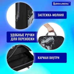 Папка на молнии с ручками BRAUBERG А4, 1 отделение, полиэстер, 80 мм, "Scary dino", 273308 Папка на молнии с ручками BRAUBERG А4, 1 отделение, полиэстер, 80 мм, "Scary dino", 273308 - фото 11