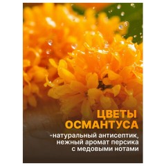 Средство для мытья посуды 450 мл, AOS "Османтус", 1746-3 - фото 4
