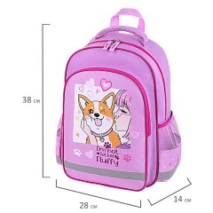Рюкзак ПИФАГОР SCHOOL, 1 отделение, 3 кармана, "Fluffy akita", 38x28х14 см, 272084 Рюкзак ПИФАГОР SCHOOL, 1 отделение, 3 кармана, "Fluffy akita", 38x28х14 см, 272084 - фото 8