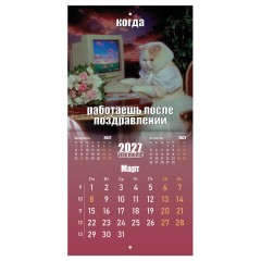 Календарь настенный перекидной 2027 г., BRAUBERG, 12 листов, 21,4х42,8 см, МИНИ, "Vibe meme", 118438 - фото 7