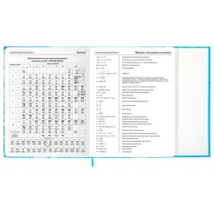 Дневник 1-11 класс 48 л., твердый, BRAUBERG, матовая ламинация, магнитный клапан, закладка-ляссе, с подсказом, "Котик", 107244 - фото 18