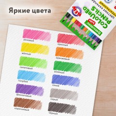 Карандаши цветные BRAUBERG KIDS NEW, 12 цветов, трехгранные, грифель 3 мм, 182001 - фото 11