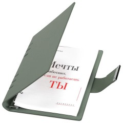 Ежедневник на кольцах в наборе с ручкой А5, 165x229 мм, BRAUBERG "Lux", под кожу, 100 листов, зеленый, 116858 - фото 5