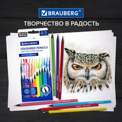 Карандаши цветные BRAUBERG, 12 цветов, шестигранные, грифель 3,3 мм, черное дерево, 181856 Карандаши цветные BRAUBERG, 12 цветов, шестигранные, грифель 3,3 мм, черное дерево, 181856 - фото 10