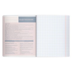 Тетрадь предметная MonoPastel 48 л., пластиковая обложка, ОБЩЕСТВОЗНАНИЕ, клетка, подсказ, BRAUBERG, 405502 - фото 3