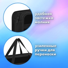 Папка на молнии с ручками BRAUBERG А4, 1 отделение, пластик, 80 мм, "Butterfly catcher", 272165 Папка на молнии с ручками BRAUBERG А4, 1 отделение, пластик, 80 мм, "Butterfly catcher", 272165 - фото 9
