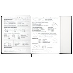 Дневник 1-11 класс 48 л., твердый, BRAUBERG, матовая ламинация, магнитный клапан, закладка-ляссе, с подсказом, "Дракон", 107245 - фото 16