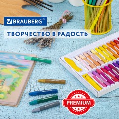 Пастель масляная восковые мелки утолщенные 48 цвета с точилкой, держателем и стеком, BRAUBERG PREMIUM, 272714 Пастель масляная восковые мелки утолщенные 48 цвета с точилкой, держателем и стеком, BRAUBERG PREMIUM, 272714 - фото 22