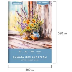 Папка для акварели БОЛЬШАЯ А2, 400х590 мм, 10 листов, 200 г/м2, BRAUBERG АКАДЕМИЯ (ДЭК), "Цветы", 117739 - фото 2