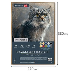 Бумага для пастели АБРАЗИВНАЯ А3 в коробке, 40 листов 10 цветов, 240 г/м2, BRAUBERG ART, 117768 - фото 3