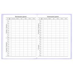 Дневник 5-11 класс 48 л., твердый, BRAUBERG, матовая ламинация, с подсказом, "Классика", 107610 - фото 7