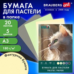 Бумага для пастели БОЛЬШАЯ А3 в папке, 20 листов, 5 цветов, 180 г/м2, BRAUBERG ART CLASSIC, 116346 - фото 8
