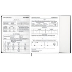 Дневник 1-11 класс 48 л., твердый, BRAUBERG, матовая ламинация, магнитный клапан, закладка-ляссе, с подсказом, "Дракон", 107245 - фото 14