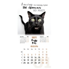 Календарь настенный перекидной 2027 г., BRAUBERG, 12 листов, 28,5х57 см, "Смешные котики", 118430 - фото 6