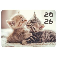 Календарь карманный на 2026г, BRAUBERG, 64х93мм, АССОРТИ 20 видов, 117304 Календарь карманный на 2026г, BRAUBERG, 64х93мм, АССОРТИ 20 видов, 117304 - фото 13