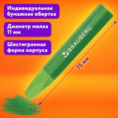 Пастель масляная восковые мелки утолщенные 48 цвета с точилкой, держателем и стеком, BRAUBERG PREMIUM, 272714 Пастель масляная восковые мелки утолщенные 48 цвета с точилкой, держателем и стеком, BRAUBERG PREMIUM, 272714 - фото 19