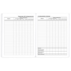 Дневник 1-11 класс 40 л., на скобе, ПИФАГОР, обложка картон, МИКС "Универсальный", 107578 - фото 11