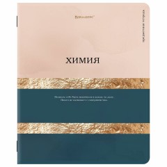 Тетради предметные, КОМПЛЕКТ 12 ПРЕДМЕТОВ, 48 л., матовая ламинация, фольга, BRAUBERG "GOLDY", 405178 Тетради предметные, КОМПЛЕКТ 12 ПРЕДМЕТОВ, 48 л., матовая ламинация, фольга, BRAUBERG "GOLDY", 405178 - фото 11