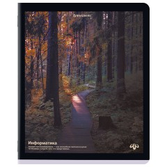 Тетради предметные, КОМПЛЕКТ 12 ПРЕДМЕТОВ, 48 л., матовая ламинация, BRAUBERG, "ПРИРОДА", 405606 - фото 7