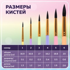Кисти БЕЛКА набор 6 шт. (круглые № 1, 2, 3, 4, 5, 6), блистер, BRAUBERG KIDS, 201083 Кисти БЕЛКА набор 6 шт. (круглые № 1, 2, 3, 4, 5, 6), блистер, BRAUBERG KIDS, 201083 - фото 15