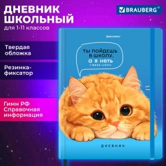 Дневник 1-11 класс 48 л., твердый, BRAUBERG, матовая ламинация, резинка, закладка-ляссе, с подсказом, "Котик", 107239 - фото 21