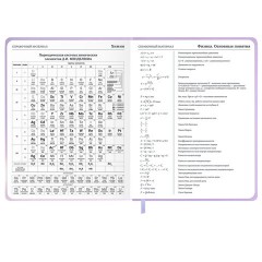 Дневник 1-11 класс 48 л., обложка кожзам (твердая с поролон), 3D-элемент, BRAUBERG, "Суровый кот", 107221 - фото 16