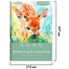 Папка для акварели А4, 210х297 мм, 20 листов, 200 г/м2, BRAUBERG АКАДЕМИЯ (ДЭК), "Оленёнок", 117746 - фото 2