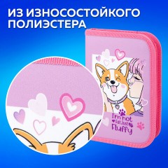 Пенал ПИФАГОР, 1 отделение, полиэстер, 19х13 см, "Fluffy akita", 272284 Пенал ПИФАГОР, 1 отделение, полиэстер, 19х13 см, "Fluffy akita", 272284 - фото 10