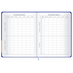 Дневник 1-11 класс 48 л., твердый, BRAUBERG, матовая ламинация, резинка, закладка-ляссе, с подсказом, "Гусь", 107237 - фото 10