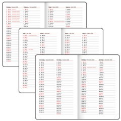 Ежедневник датированный 2026, МАЛЫЙ ФОРМАТ 100х150 мм, А6, BRAUBERG "Rainbow", под кожу, красный, 117256 - фото 7