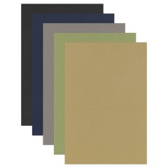 Бумага для пастели ФАКТУРНАЯ, А3, в папке, 20 листов, 5 цветов, 270 г/м2, BRAUBERG ART, 117756 - фото 2