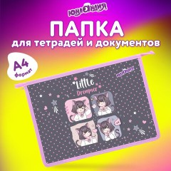 Папка для тетрадей ЮНЛАНДИЯ А4, 1 отделение, пластик, на молнии, "Anime dreamer", 273349 - фото 6