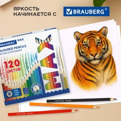 Карандаши цветные супермягкие яркие классические BRAUBERG MAX 120 цветов, шестигранные, натуральное дерево, грифель 3,3 мм, 182006 - фото 15