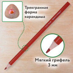 Карандаши цветные BRAUBERG KIDS NEW, 12 цветов, трехгранные, грифель 3 мм, 182001 - фото 9