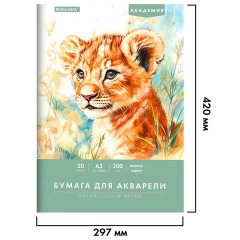 Папка для акварели БОЛЬШАЯ А3, 297х420 мм, 20 листов, 200 г/м2, BRAUBERG АКАДЕМИЯ (ДЭК) "Львёнок", 117745 - фото 2