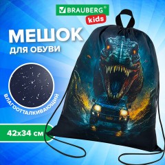 Мешок для обуви BRAUBERG KIDS, с петлей, 42х34 см, "Dino chase", 272416 Мешок для обуви BRAUBERG KIDS, с петлей, 42х34 см, "Dino chase", 272416 - фото 7