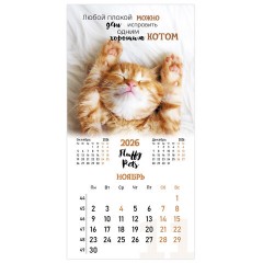 Календарь настенный перекидной 2026 г., BRAUBERG, 12 листов, 28,5х28,5 см, "Милые котики", 116929 - фото 14