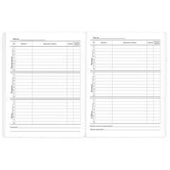 Дневник 1-11 класс 40 л., на скобе, ПИФАГОР, обложка картон, МИКС "Универсальный", 107578 - фото 10