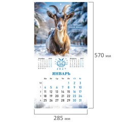Календарь настенный перекидной 2027 г., BRAUBERG, 12 листов, 28,5х57 см, "Символ года", 118414 - фото 4