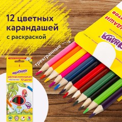 Карандаши цветные ЮНЛАНДИЯ "ТРОПИКИ", 12 цветов, с РАСКРАСКОЙ, трехгранные, грифель 3 мм, натуральное дерево, 181647 - фото 14