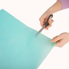 Коврики универсальные 6 шт., 30х45 см, для холодильника, полок, сервировки, бирюзовый, DASWERK, 609606 Коврики универсальные 6 шт., 30х45 см, для холодильника, полок, сервировки, бирюзовый, DASWERK, 609606 - фото 6